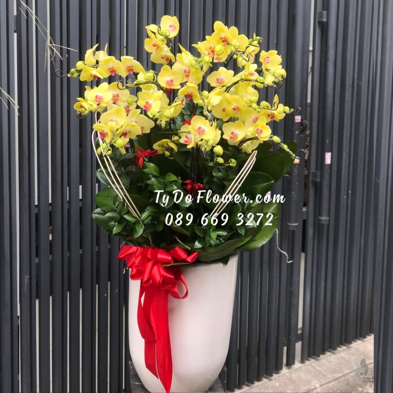 L0123290 CHẬU 12 CÀNH HỒ ĐIỆP VÀNG