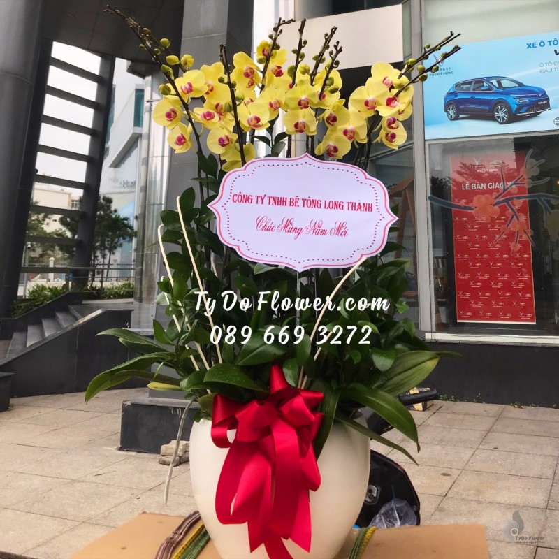 L0123291 CHẬU 9 CÀNH HỒ ĐIỆP VÀNG