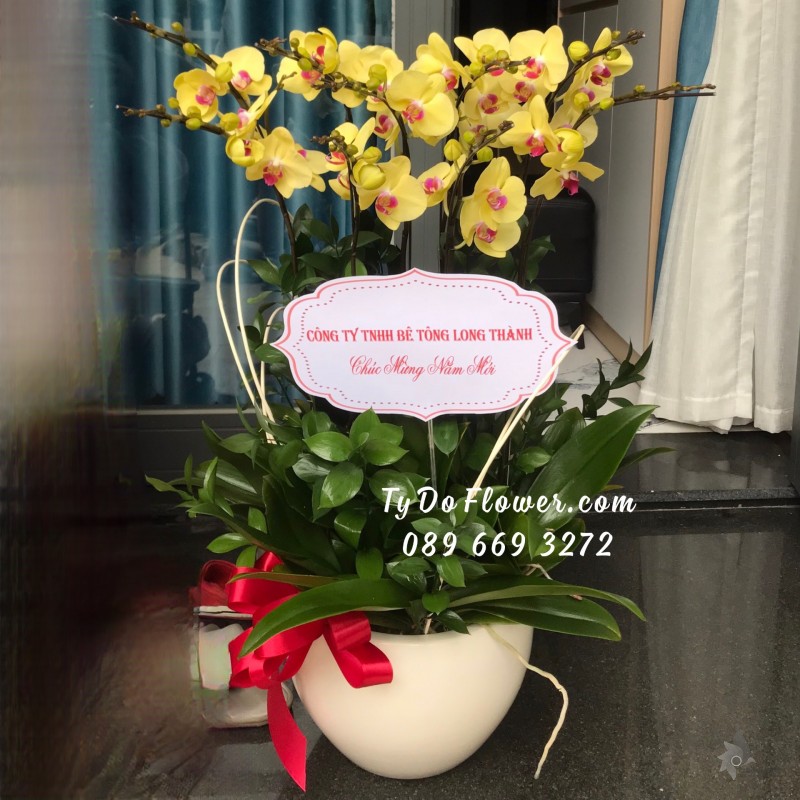 L0123292 CHẬU 9 CÀNH HỒ ĐIỆP VÀNG