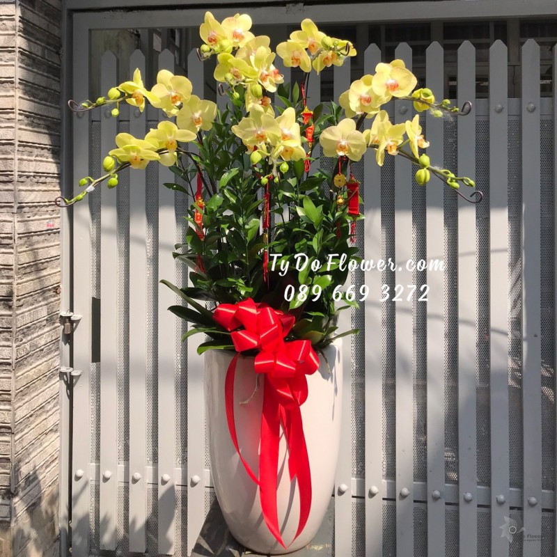 L0123297 CHẬU 8 CÀNH HỒ ĐIỆP VÀNG