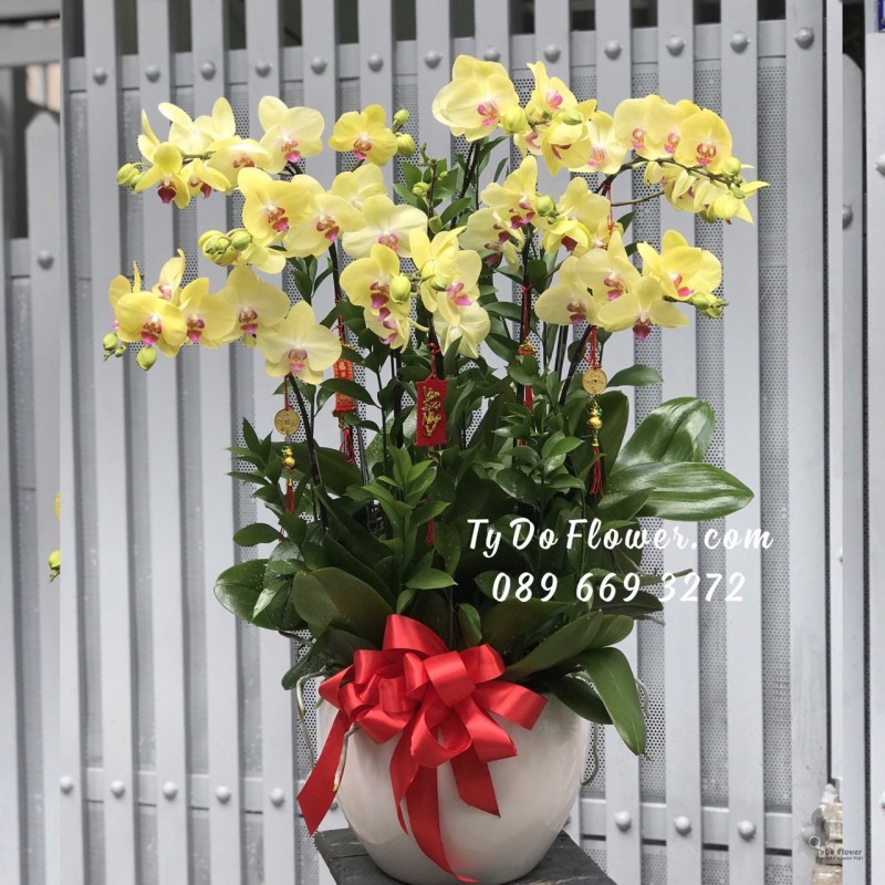 L0123298 CHẬU 12 CÀNH HỒ ĐIỆP VÀNG