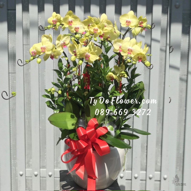 L0123299 CHẬU 6 CÀNH HỒ ĐIỆP VÀNG