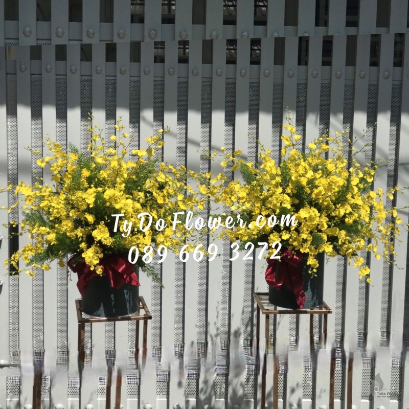 G0123300 GIỎ HOA LAN VŨ NỮ HOA CHÚC MỪNG