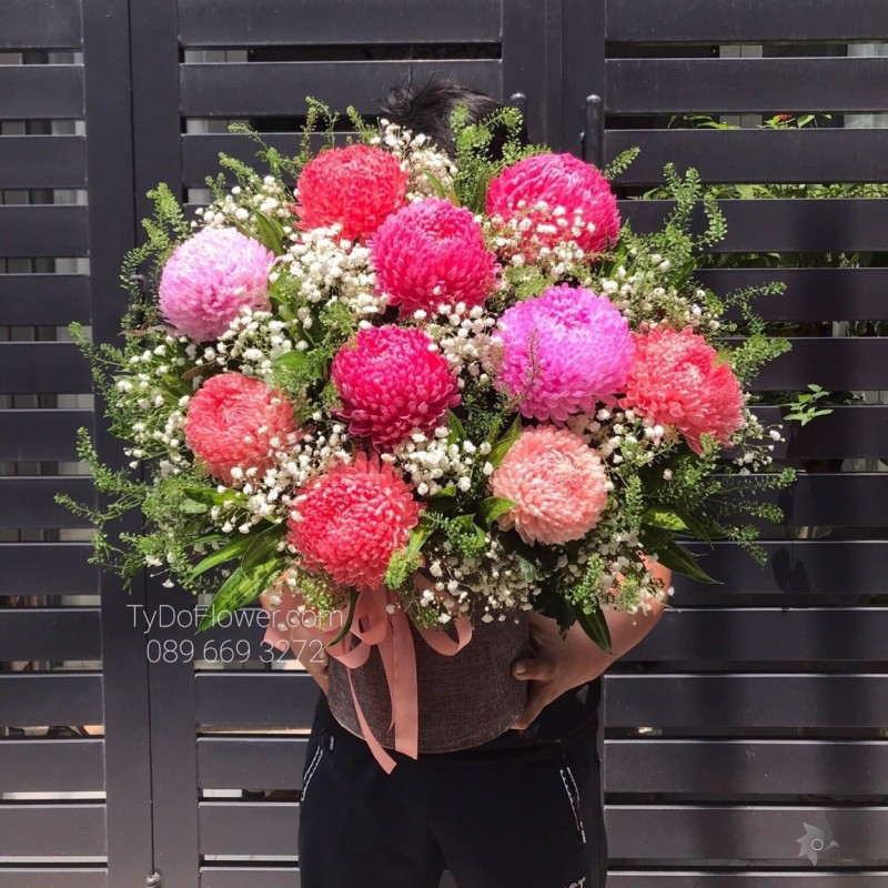 G0123303 GIỎ HOA CÚC MẪU ĐƠN HOA CHÚC MỪNG