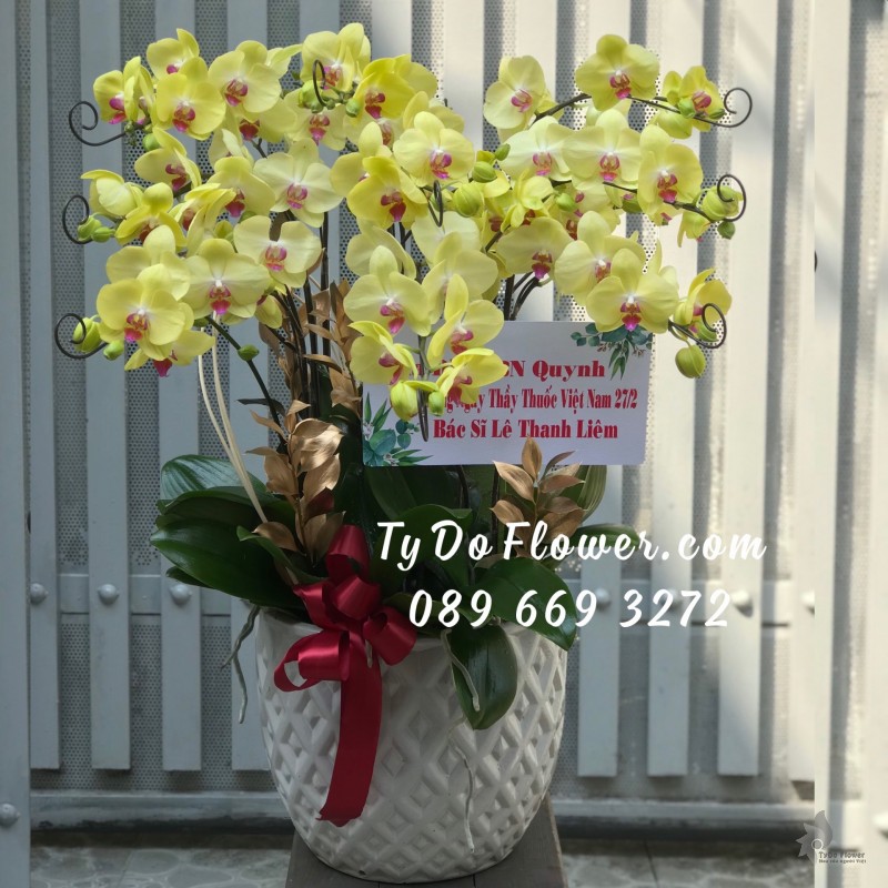 L0323342 CHẬU 9 CÀNH LAN HỒ ĐIỆP VÀNG
