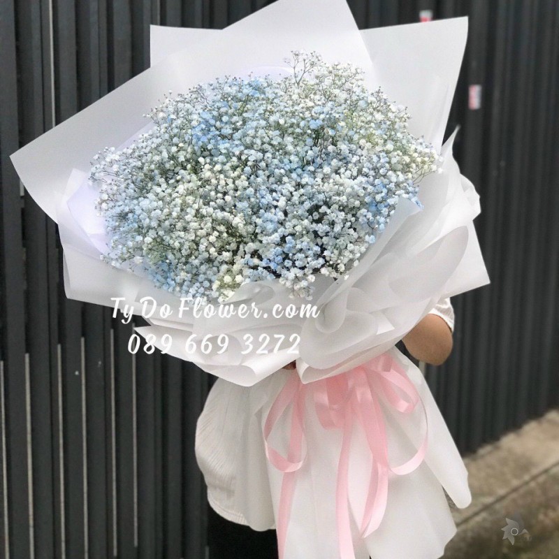 B0323360 BÓ HOA BABY XANH  HOA CHÚC MỪNG