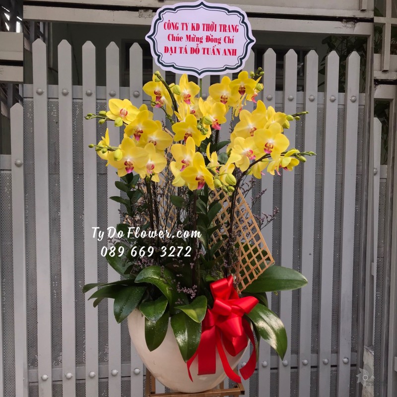 L0323488 CHẬU 8 CÀNH LAN HỒ ĐIỆP VÀNG