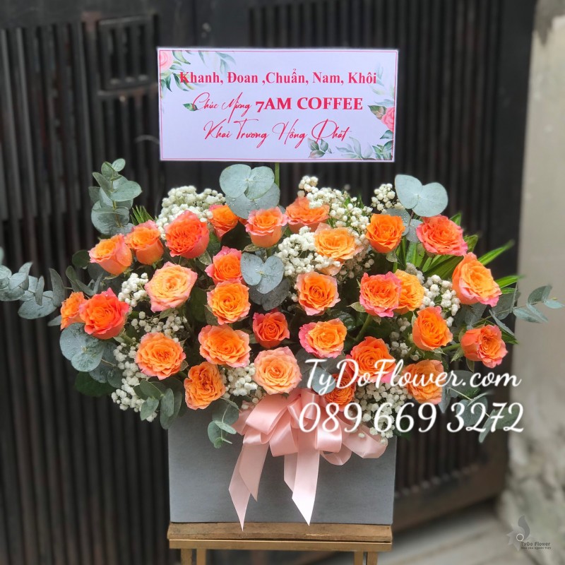 GIỎ HOA HỒNG CAM SPIRIT ROSES Hoa Chúc Mừng Khai Trương