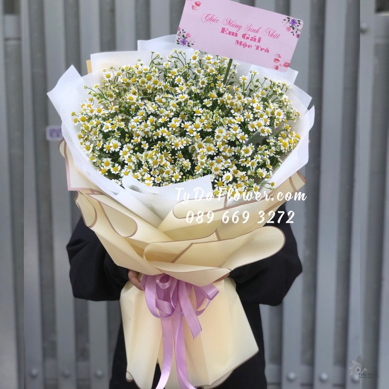 B0523699 BÓ HOA CÚC TANA Hoa Chúc Mừng Sinh Nhật