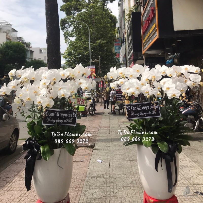 L0623714 MỘT CẶP CHẬU 10 CÀNH LAN HỒ ĐIỆP TRẮNG Hoa Chia Buồn