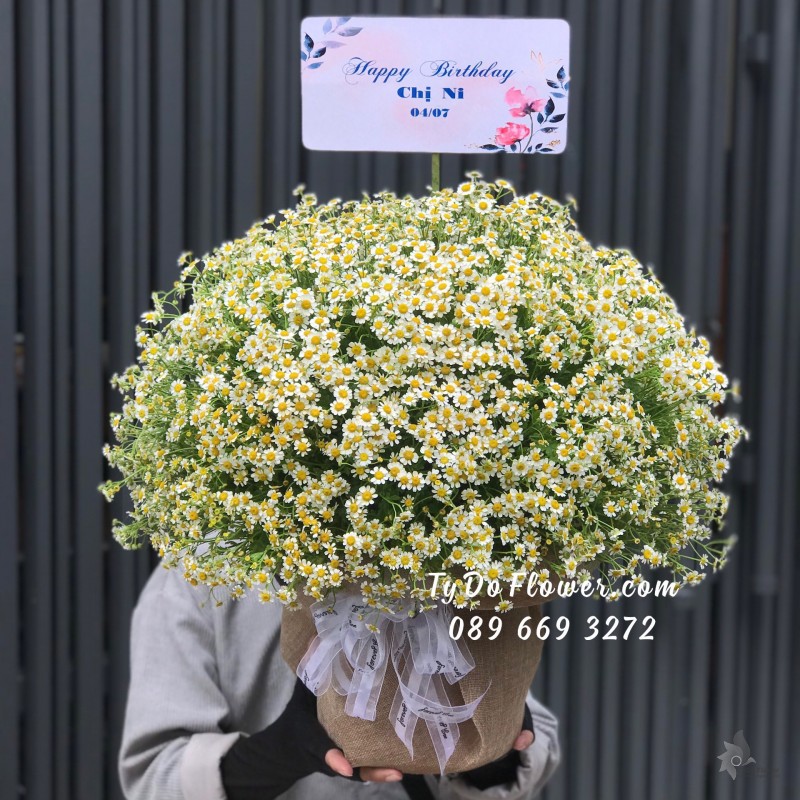 G0623817 GIỎ HOA CÚC TANA TRÒN ĐỀU CÁC MẶT Hoa Chúc Mừng Sinh Nhật