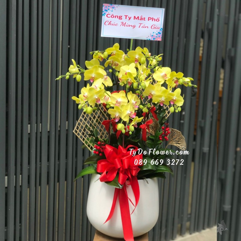 L0823932 CHẬU 9 CÀNH LAN HỒ ĐIỆP VÀNG Hoa Chúc Mừng Tân Gia