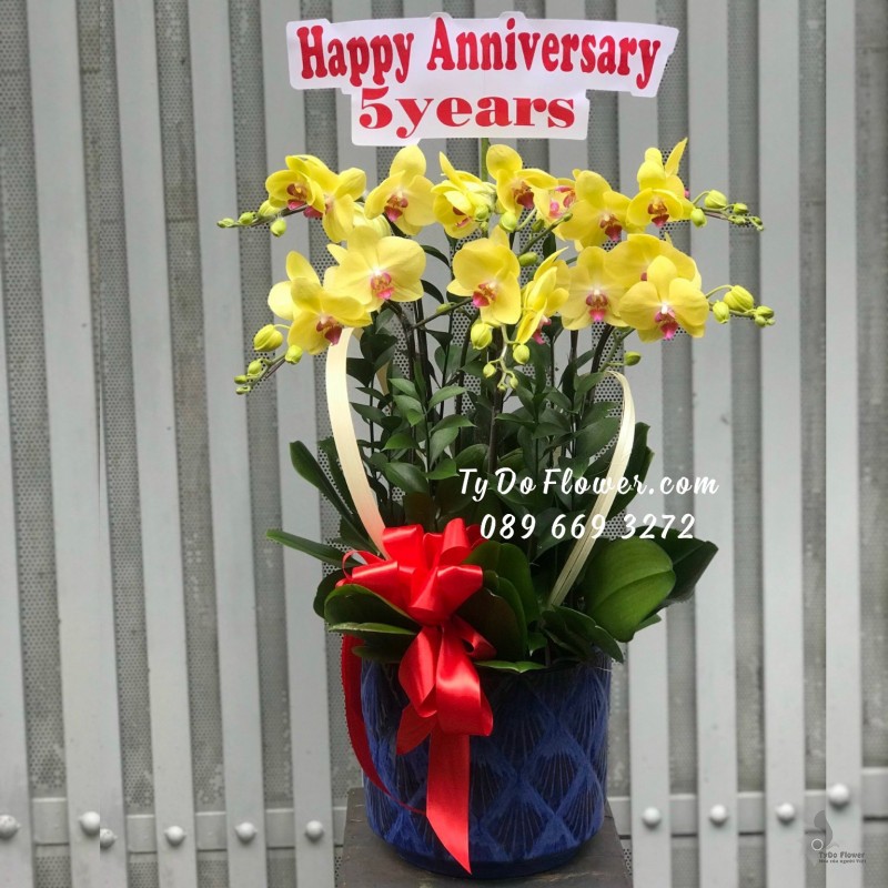 L10231050 CHẬU 6 CÀNH LAN HỒ ĐIỆP VÀNG Hoa Chúc Mừng Kỷ Niệm