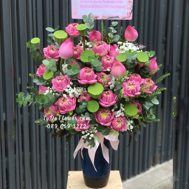 BI11231109 BÌNH HOA SEN HỒNG Hoa Chúc Mừng