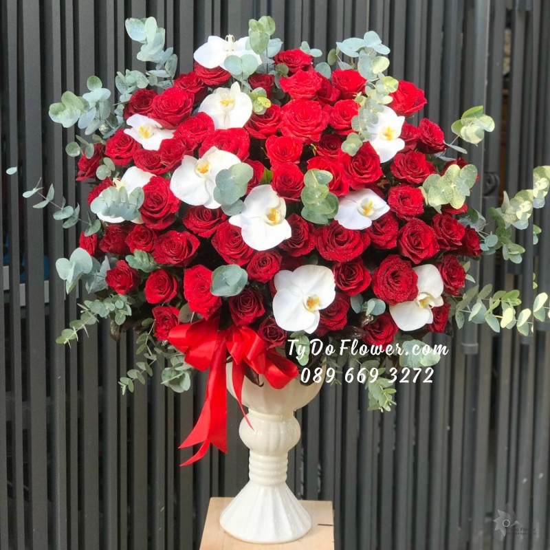 BI11231111 BÌNH HOA HỒNG ĐỎ ECUADOR Hoa Chúc Mừng