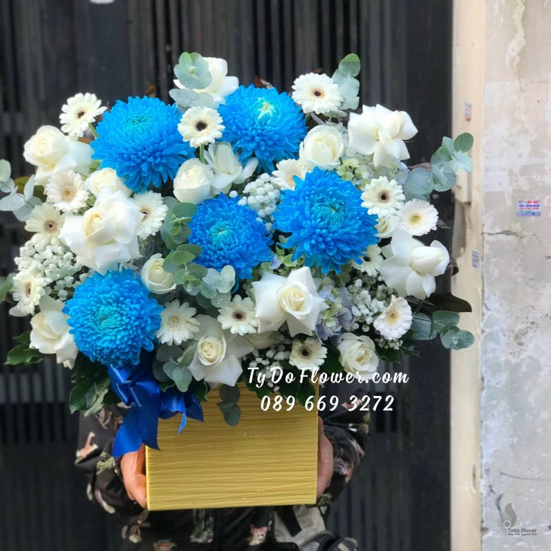 G11231128 GIỎ HOA CHÚC MỪNG thiết kế tone màu xanh trắng chủ đạo hoa Cúc Mẫu Đơn Xanh Dương