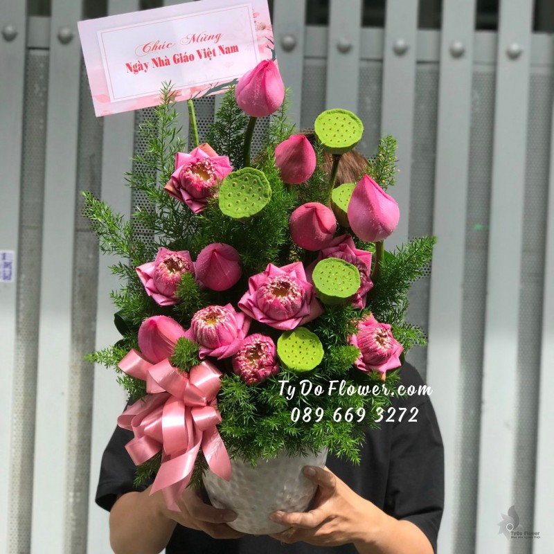 BI11231142 BÌNH HOA SEN HỒNG Hoa Chúc Mừng Ngày Nhà Giáo VN