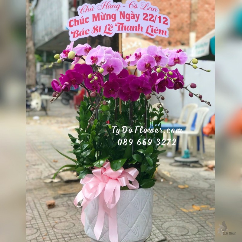 L12231237 CHẬU 8 CÀNH LAN HỒ ĐIỆP TÍM Hoa Chúc Mừng Ngày 22/12