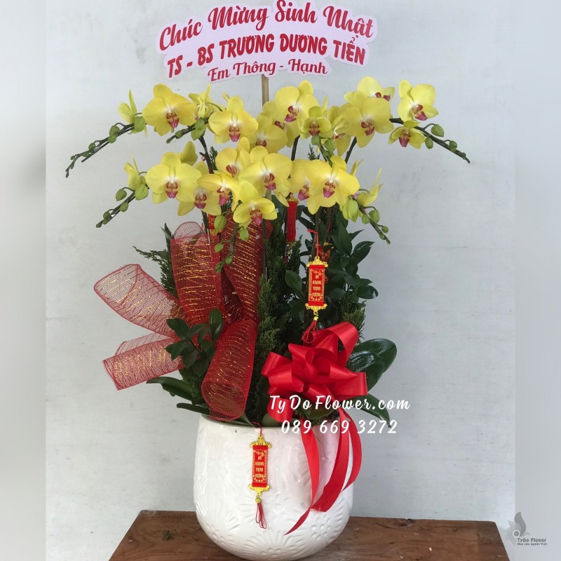 L01241279 CHẬU 7 CÀNH LAN HỒ ĐIỆP VÀNG Hoa Chúc Mừng Sinh Nhật