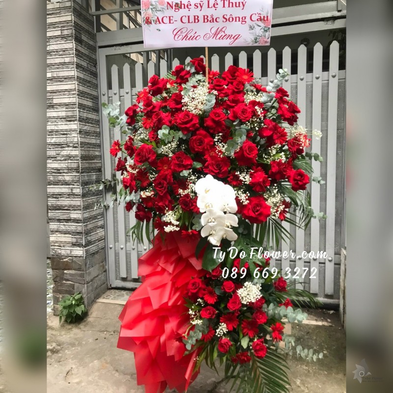 KCM01241320 KỆ HOA CHÚC MỪNG thiết kế Hoa Hồng Đỏ Ecuador, điểm nhấn Hoa Lan Hồ Điệp Trắng