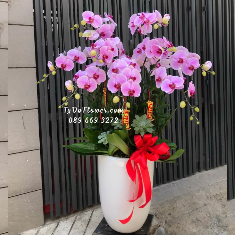 L01241328 CHẬU 09 CÀNH LAN HỒ ĐIỆP TÍM Hoa Chúc Mừng Năm Mới thiết kế chủ đề Tết