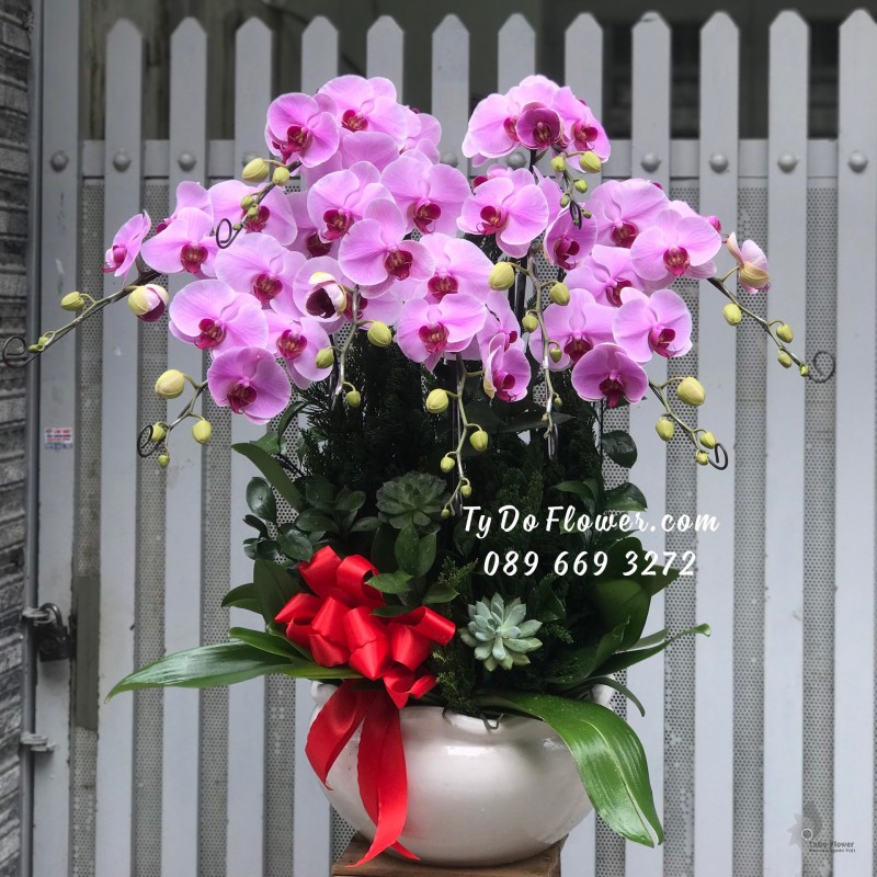 L01241329 CHẬU 09 CÀNH LAN HỒ ĐIỆP TÍM Hoa Chúc Mừng Năm Mới thiết kế chủ đề Tết