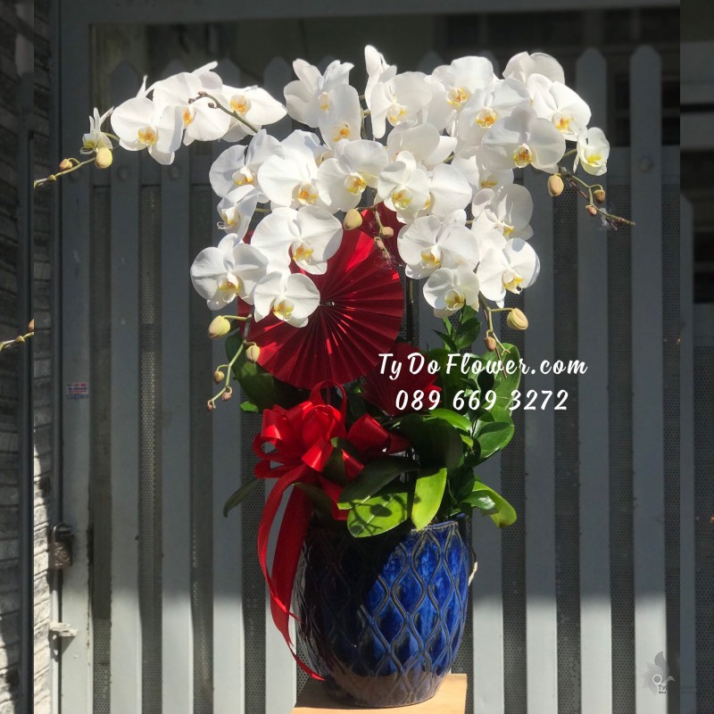 L02241345 CHẬU 05 CÀNH LAN HỒ ĐIỆP TRẮNG Hoa Chúc Mừng Năm Mới thiết kế chủ đề Tết