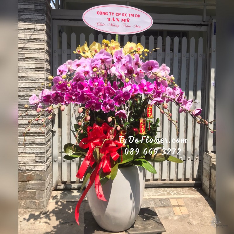 L02241346 CHẬU 30 CÀNH LAN HỒ ĐIỆP VÀNG TÍM HỒNG Hoa Chúc Mừng Năm Mới thiết kế chủ đề Tết