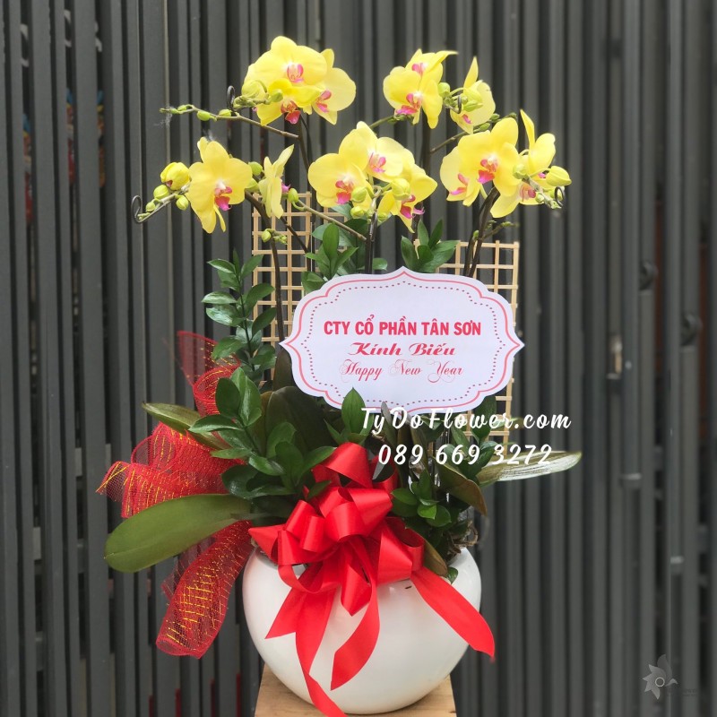 L02241347 CHẬU 05 CÀNH LAN HỒ ĐIỆP VÀNG Hoa Chúc Mừng Năm Mới thiết kế chủ đề Tết