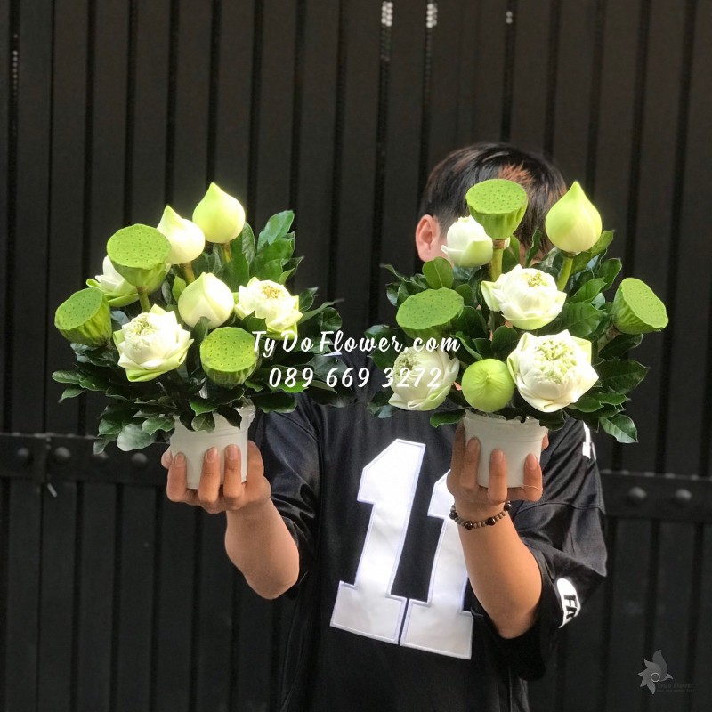 G03241459 MỘT CẶP HOA SEN TRẮNG ĐỂ BÀN
