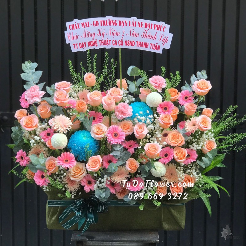 G04241483 GIỎ HOA CHÚC MỪNG KỶ NIỆM THÀNH LẬP thiết kế tone màu hồng cam, chủ đạo Hoa Hồng Cam Carrot, Đồng Tiền Mini Hồng, điểm nhấn Hoa Cúc Mẫu Đơn Xanh Dương