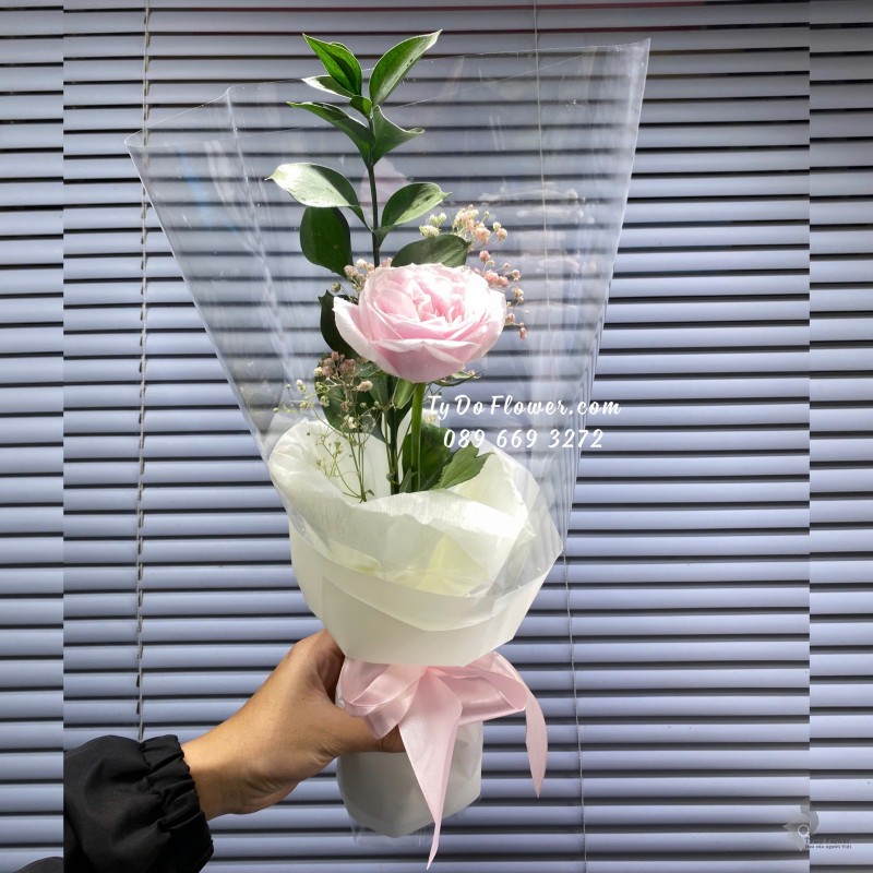 B10242018 ĐẶT TỪ 30 BÓ HOA CHÚC MỪNG thiết kế 01 Bông Hồng Pink Ohara Rose
