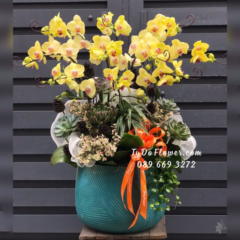 L12242152 CHẬU 10 CÀNH LAN HỒ ĐIỆP MÀU VÀNG Hoa Chúc Mừng Thiết kế cùng Hoa Sen Đá Cao Cấp