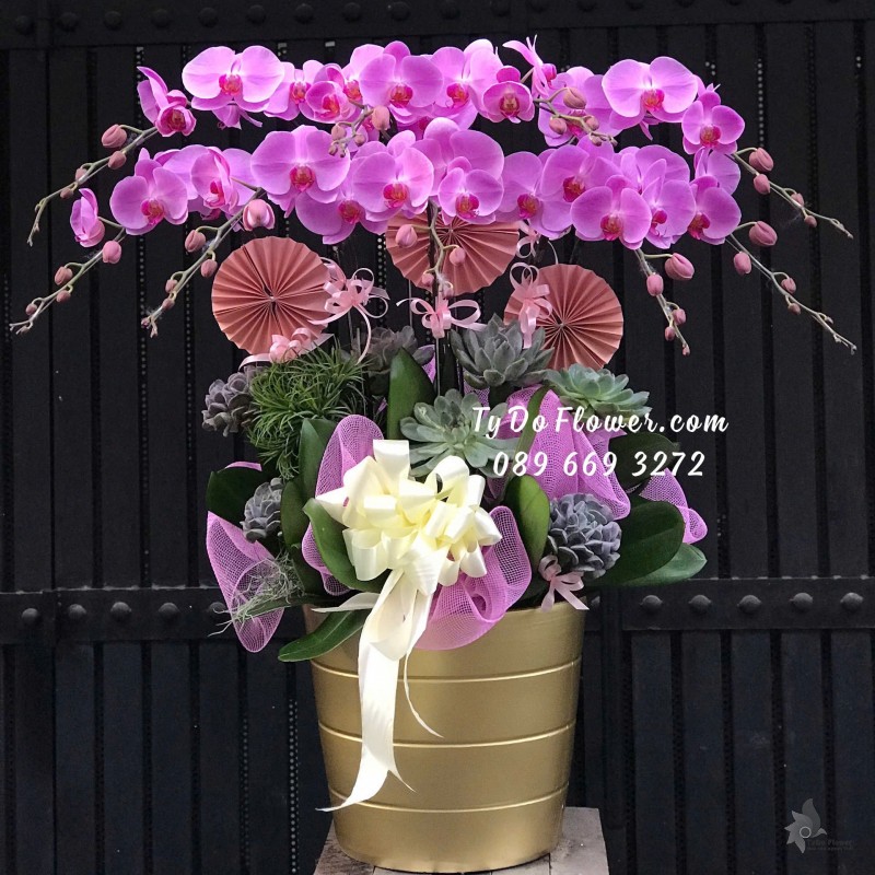 L12242153 CHẬU 09 CÀNH LAN HỒ ĐIỆP TÍM Hoa Chúc Mừng Thiết kế cùng Hoa Sen Đá Cao Cấp