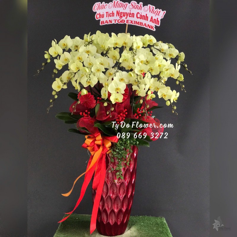 L12242190 CHẬU 20 CÀNH LAN HỒ ĐIỆP VÀNG CHANH XANH TÁO Hoa Chúc Mừng Sinh Nhật Chủ Tịch