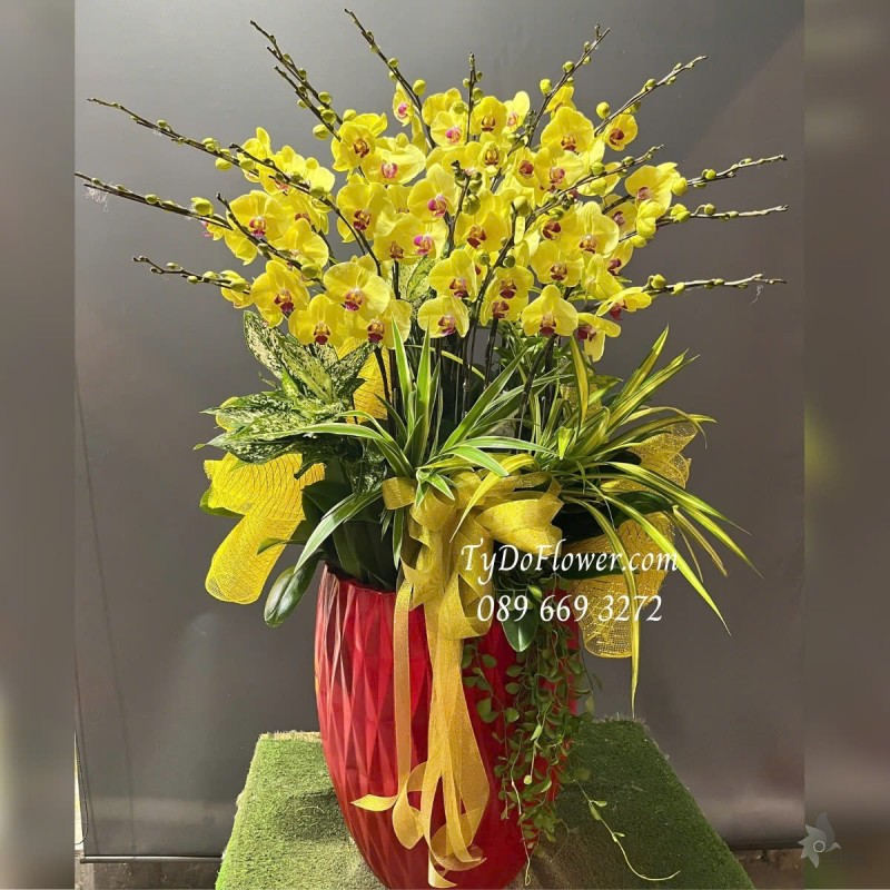 L012514 CHẬU 20 CÀNH LAN HỒ ĐIỆP VÀNG Hoa Chúc Mừng Thiết kế trang trí cây xanh tiểu cảnh