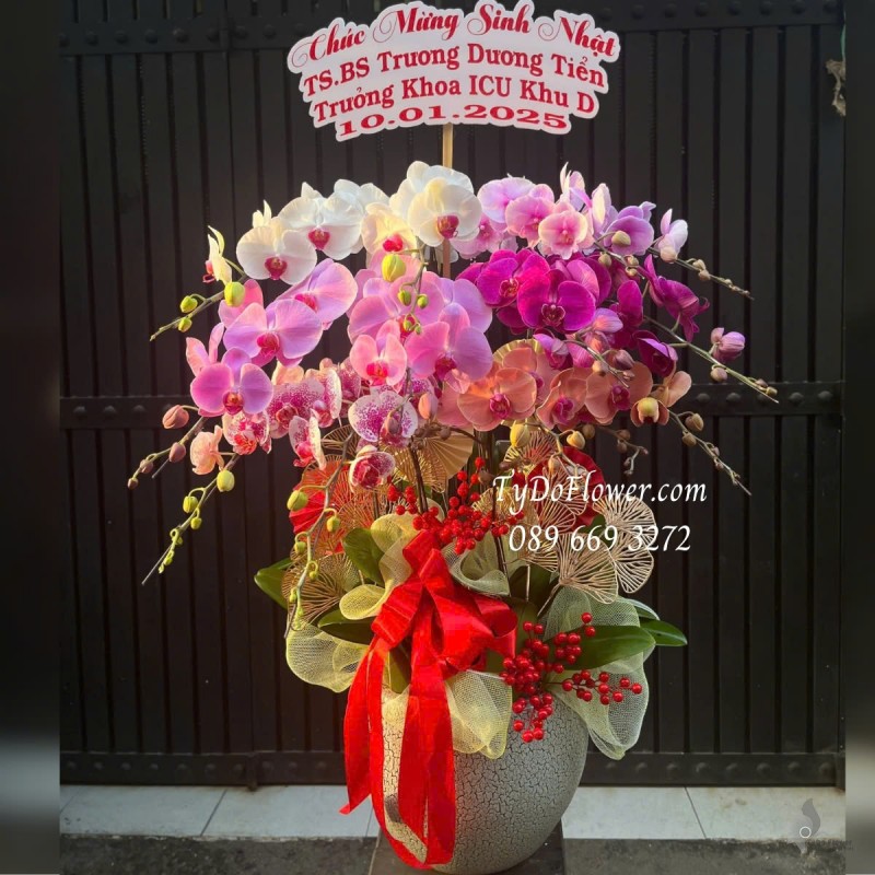 L012531 CHẬU 12 CÀNH LAN HỒ ĐIỆP NGŨ SẮC Hoa Chúc Mừng Sinh Nhật Thiết kế phụ kiện sang trọng