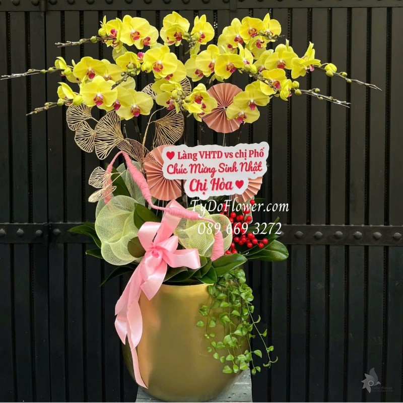 L012533 CHẬU 09 CÀNH LAN HỒ ĐIỆP VÀNG Hoa Chúc Mừng trang trí phụ kiện sang trọng và cây xanh tiểu cảnh