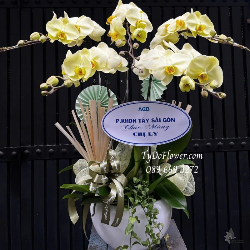 L012535 CHẬU 05 CÀNH LAN HỒ ĐIỆP VÀNG CHANH Hoa Chúc Mừng trang trí phụ kiện và cây xanh tiểu cảnh