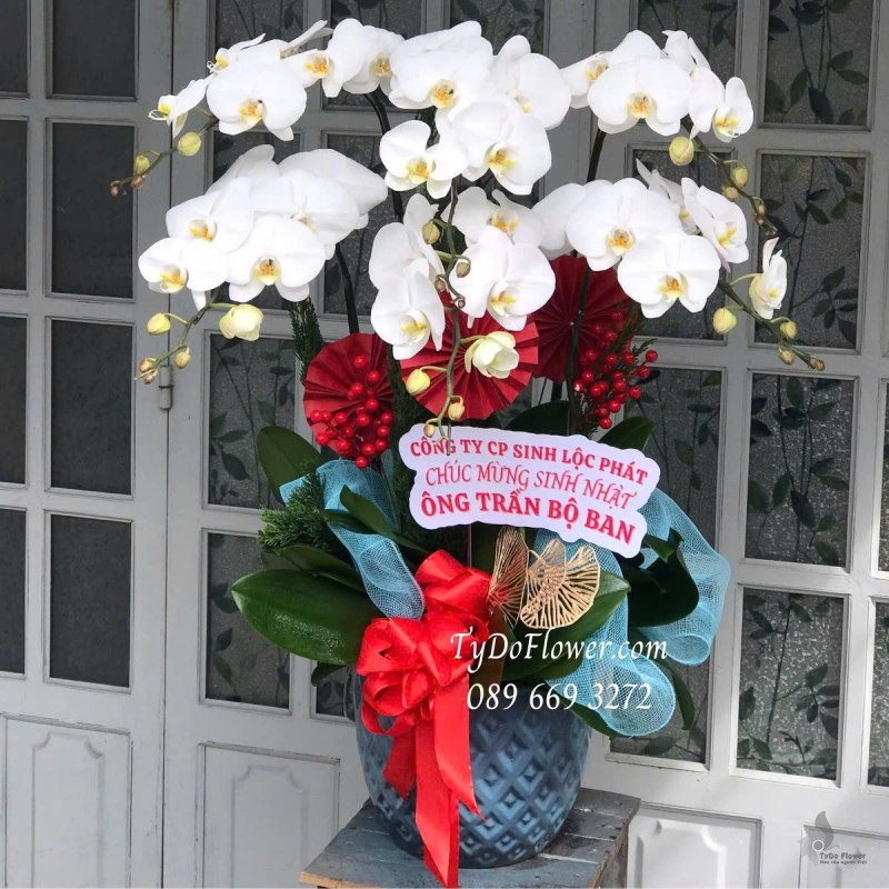 L012536 CHẬU 6 CÀNH LAN HỒ ĐIỆP TRẮNG Hoa Chúc Mừng Sinh Nhật Thiết kế trang trí phụ kiện sang trọng