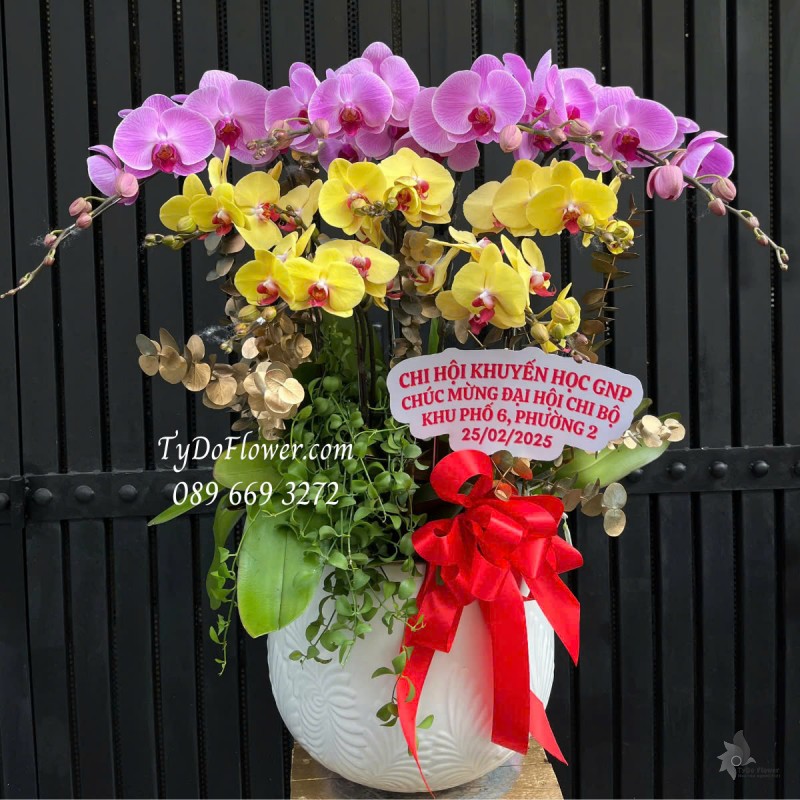 L0125168 CHẬU 09 CÀNH LAN HỒ ĐIỆP TÍM VÀNG Hoa Chúc Mừng Đại Hội Thiết kế Cây Xanh Tiểu Cảnh, Phụ Kiện Trang Trí Cao Cấp