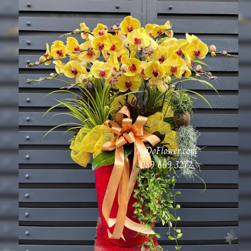 L0325189 CHẬU 12 CÀNH LAN HỒ ĐIỆP VÀNG Hoa Chúc Mừng Thiết kế Hoa Sen Đá, Cây Xanh Tiểu Cảnh, Trang Trí Phụ Kiện Vàng Cao Cấp