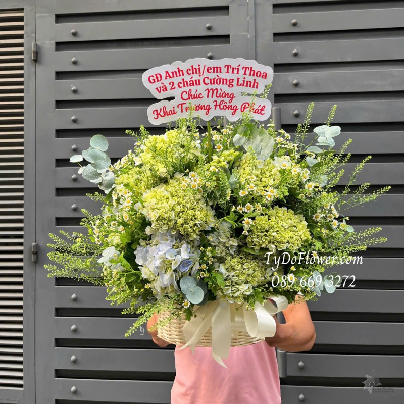 G0325250 GIỎ HOA CHÚC MỪNG KHAI TRƯƠNG HỒNG PHÁT Thiết kế Hoa Cẩm Tú Cầu Xanh Bơ