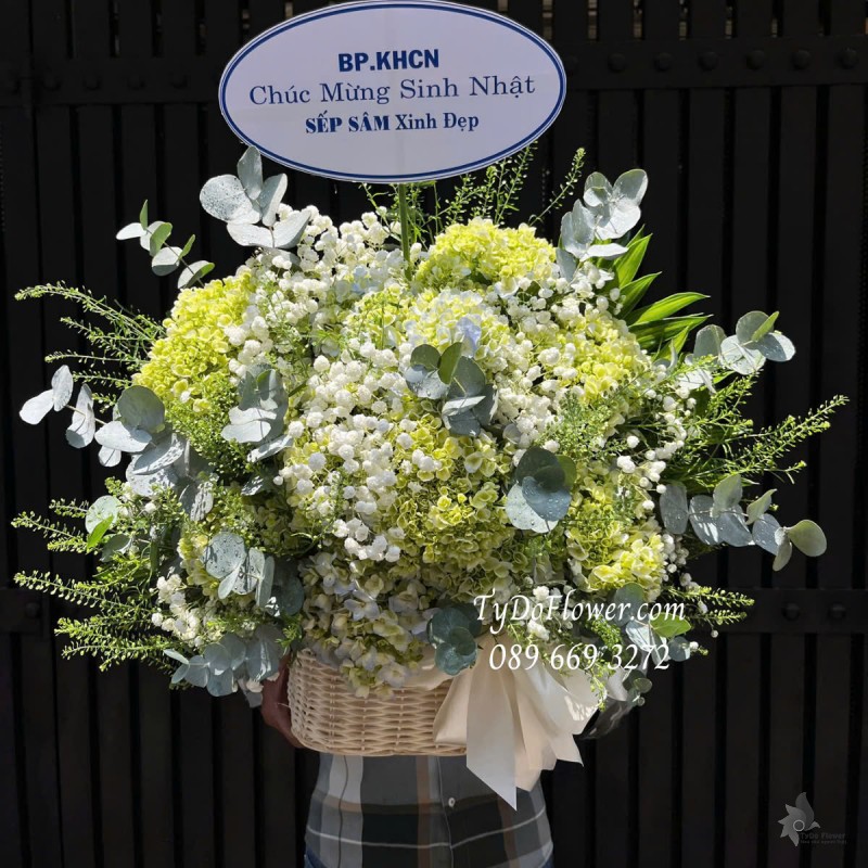 G0425301 GIỎ HOA CHÚC MỪNG SINH NHẬT Thiết kế Hoa Cẩm Tú Cầu Xanh Bơ
