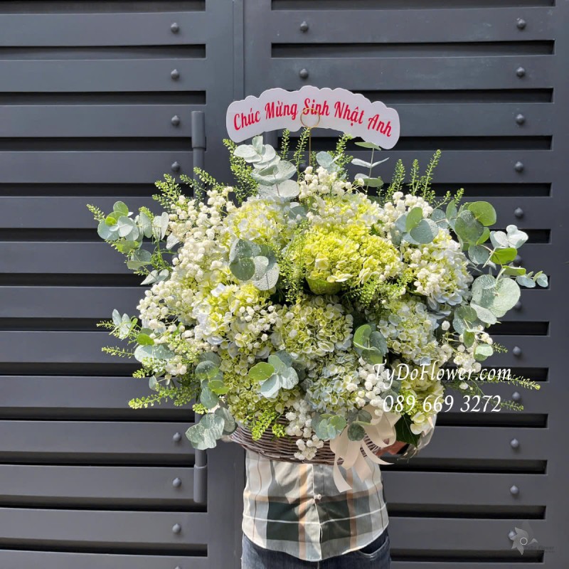 G0425307 GIỎ HOA CHÚC MỪNG SINH NHẬT ANH Thiết kế Hoa Cẩm Tú Cầu Xanh Bơ, Baby Trắng