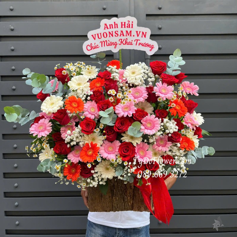 G0425309 GIỎ HOA CHÚC MỪNG KHAI TRƯƠNG HỒNG Thiết kế gam màu trắng đỏ hồng, Hoa Hồng Đỏ, Đồng Tiền, Baby