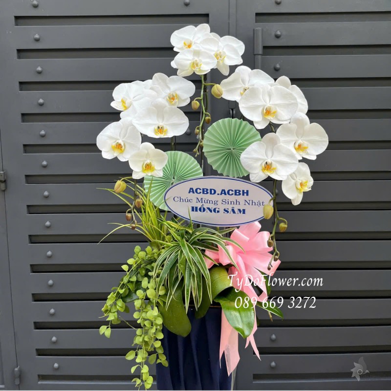 L0325321 CHẬU 03 CÀNH LAN HỒ ĐIỆP TRẮNG Hoa Chúc Mừng Sinh Nhật Thiết kế Cây Xanh Tiểu Cảnh, Phụ Kiện Trang Trí Cao Cấp