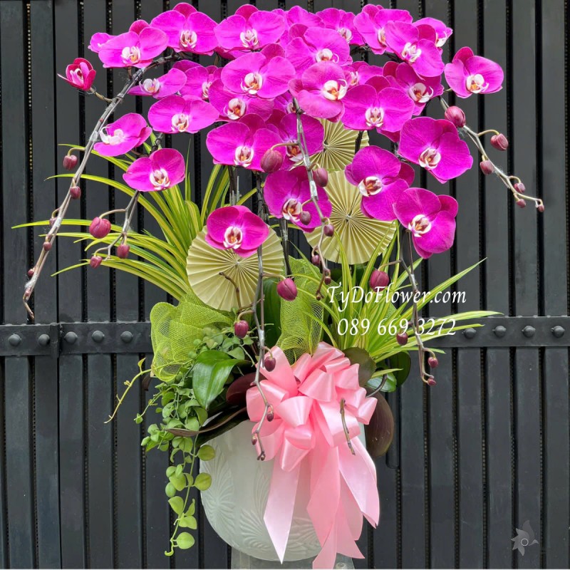 L0325322 CHẬU 06 CÀNH LAN HỒ ĐIỆP TÍM Hoa Chúc Mừng Thiết kế Cây Xanh Tiểu Cảnh, Phụ Kiện Trang Trí Cao Cấp