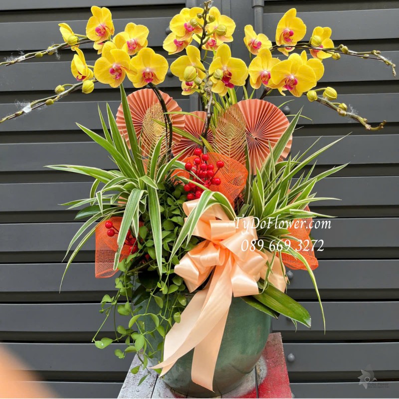 L0325323 CHẬU 06 CÀNH LAN HỒ ĐIỆP VÀNG Hoa Chúc Mừng Thiết kế Cây Xanh Tiểu Cảnh, Phụ Kiện Trang Trí Cao Cấp
