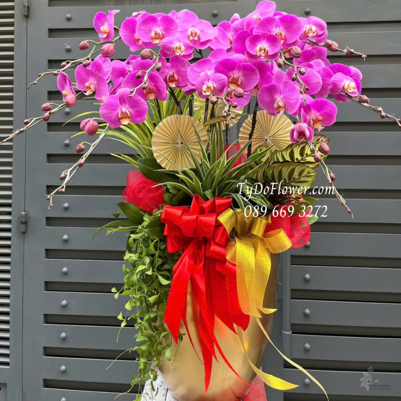 L0325324 CHẬU 09 CÀNH LAN HỒ ĐIỆP TÍM Hoa Chúc Mừng Thiết kế Cây Xanh Tiểu Cảnh, Phụ Kiện Trang Trí Cao Cấp